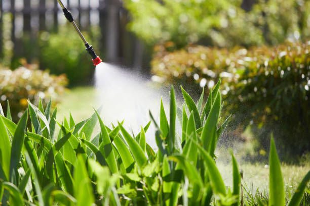 24/7 Emergency Ant Control experts in McAlester, OK