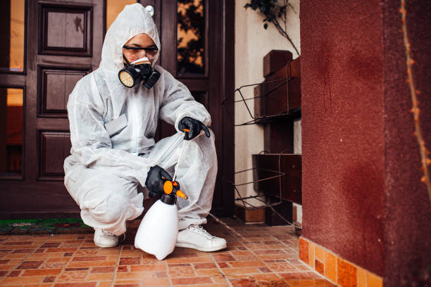Reliable Ant Control contractor in McAlester, OK by Nex Pest Control