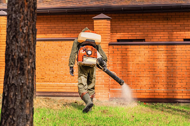Trusted Rodent Control service in McAlester, OK - Nex Pest Control